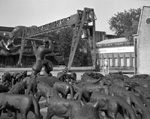 beijing-798-ii - 2