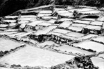 landscape - 10