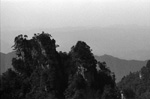 zhangjiajie - 4
